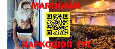 шишки Краснодар