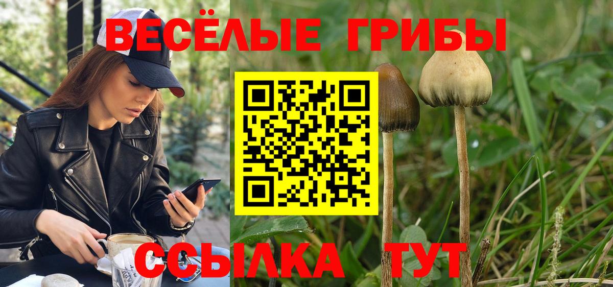 Галлюциногенные грибы MAGIC MUSHROOMS Кизилюрт