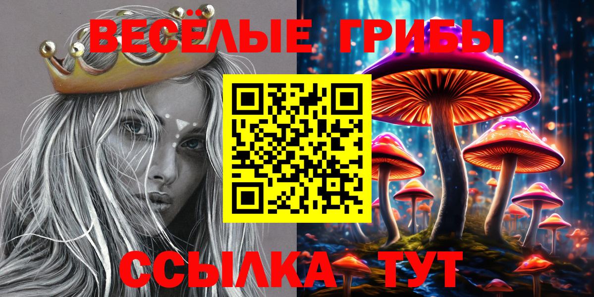 Псилоцибиновые грибы мухоморы  Вход с VPN  Кизилюрт  Галлюциногенные грибы GOLDEN TEACHER 